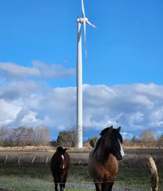 Aerogenerador en parque eólico con dos caballos en primer plano